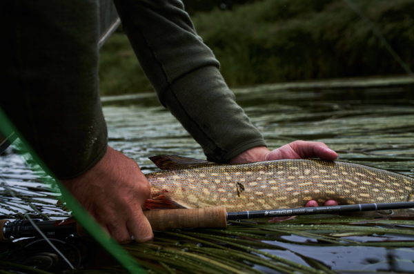 Sage R8 Fly Fishing Rod Action 3 Sage R8 Fly Fishing Rod Action 3